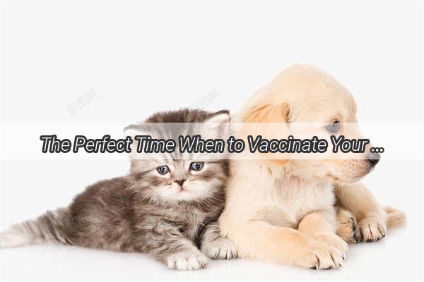 The Perfect Time When to Vaccinate Your Pup for a Healthy and Happy Life